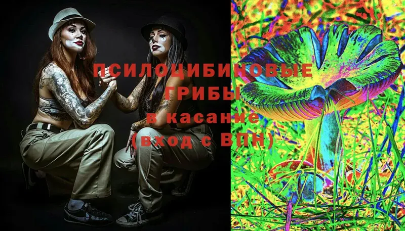 Галлюциногенные грибы Cubensis Белоусово